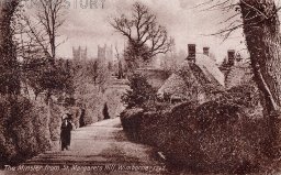 Wimborne from St Margaret's Hill, c. 1900