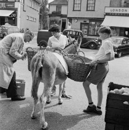 Donkey Carrying Groceries, Chipping Ongar, 1957