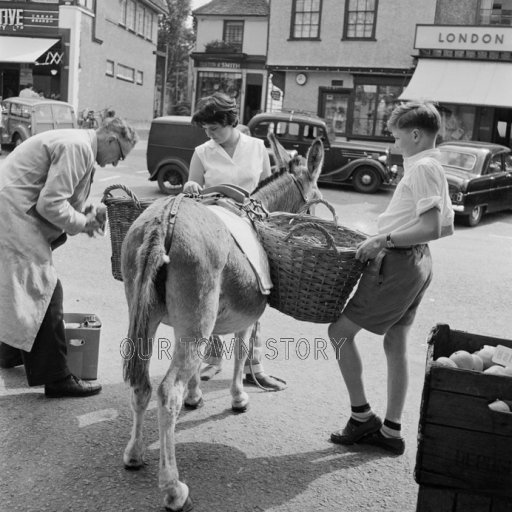 Donkey Carrying Groceries, Chipping Ongar, 1957