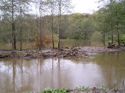 duffryn-pond-neathabbey