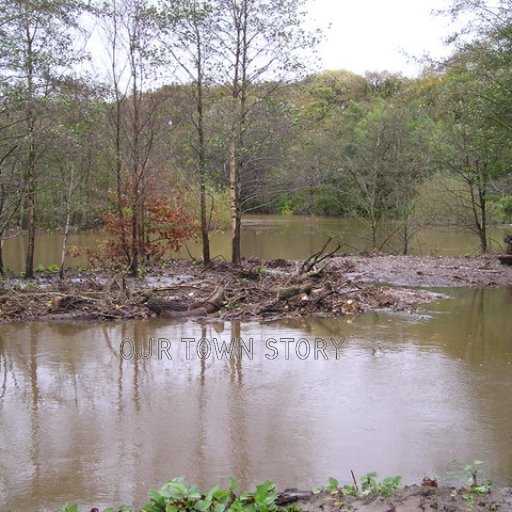 duffryn-pond-neathabbey