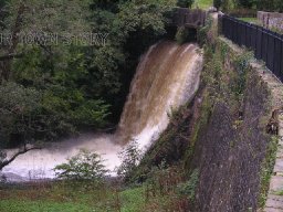 waterfall from  duffryn pond