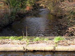 river clydach neath abbey