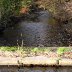 river clydach neath abbey