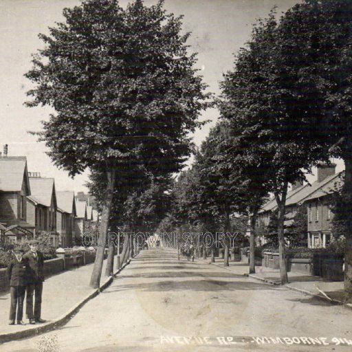 Avenue Road, Wimborne Minster, c. 1909