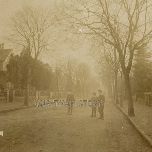 Avenue Road, Wimborne Minster, c. 1909