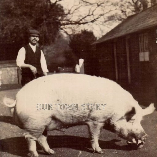 Farmer and Pig at White Farm, Moor Crichel, c. 1913