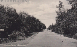 Chestnut Avenue, Walderslade, c. 1910s