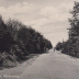 Chestnut Avenue, Walderslade, c. 1910s