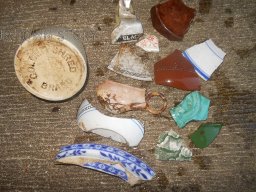 Treasures from the bottle bump in Dorset