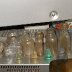 Small Bottles, Voctorian Bottle dump, 