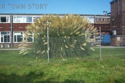 Old Cobham Flight Reuling building 