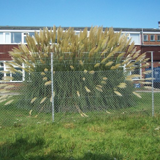 Old Cobham Flight Reuling building 