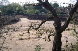 A view from Wimborne Railway embankment of a new development.