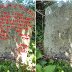 A boundary stone, Ugford, 1883