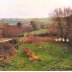 Wiltshire Downs Honey Farm, Ugford, Early 1980's