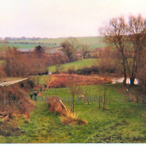 Wiltshire Downs Honey Farm, Ugford, Early 1980's