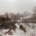 A view down the public Foot path, Ugford, early 1980's