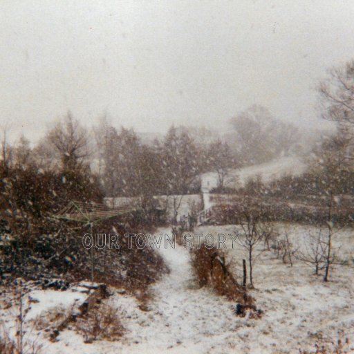 A view down the public Foot path, Ugford, early 1980's