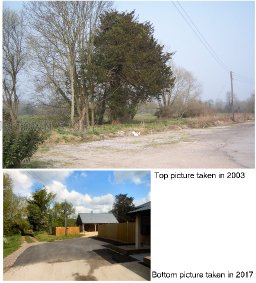 The old Yew tree, South Ugford, 2003