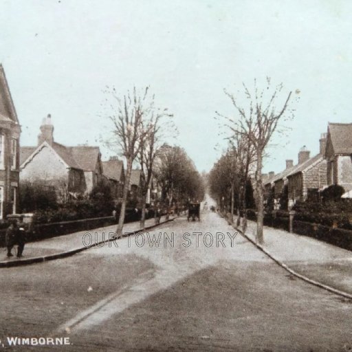 Avenue Road, Wimborne Minster, c. 1905