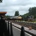 Buckfastleigh Station Platforms