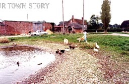 Duck Pond, Cowgrove, near Wimborne