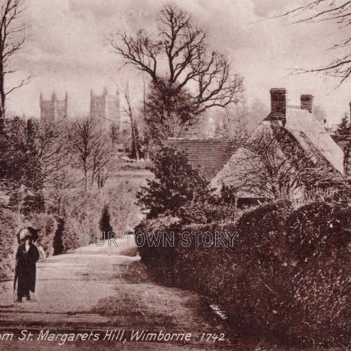 Wimborne from St Margaret's Hill, c. 1900