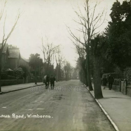 Avenue Road, Wimborne Minster, c. 1900s