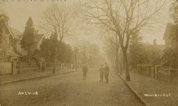 Avenue Road, Wimborne Minster, c. 1909
