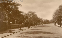 Park Drive, Barrow-in-Furness, c. 1920s