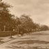 Park Drive, Barrow-in-Furness, c. 1920s