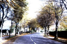 Bell Road, Sittingbourne, 1966 