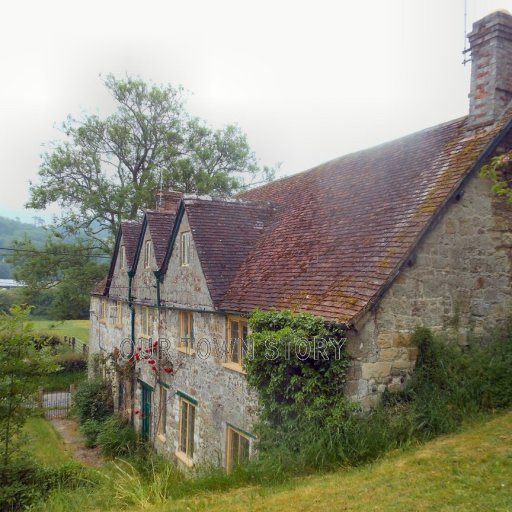 Cottages by the Church, Shroton, 2016