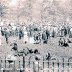 Whit Monday, Sheffield, 1905