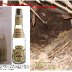 Ketchup bottle, Old Bottle dump, 1907